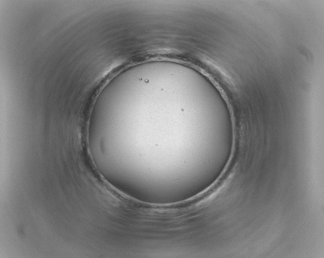 X0000115681305200911251743