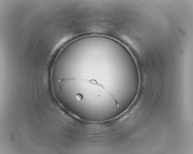 X0000115681307200911251743