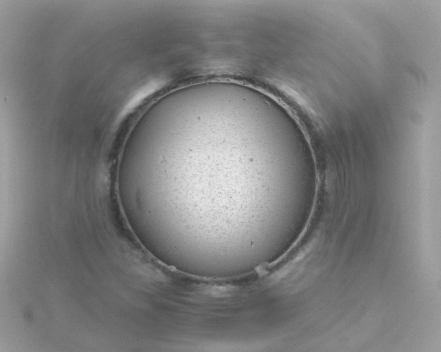 X0000115681309200911251743