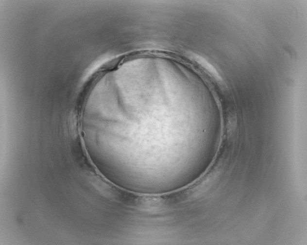 X0000115681310200911251743