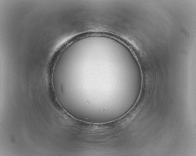 X0000115681311200911251743