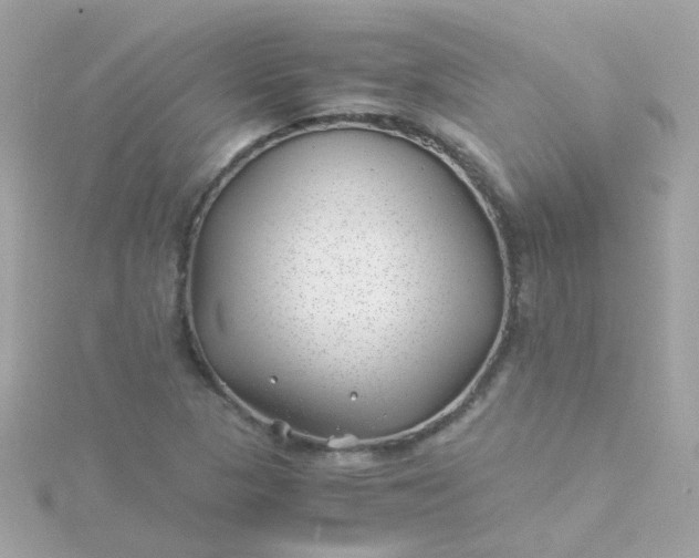 X0000115681313200911251743