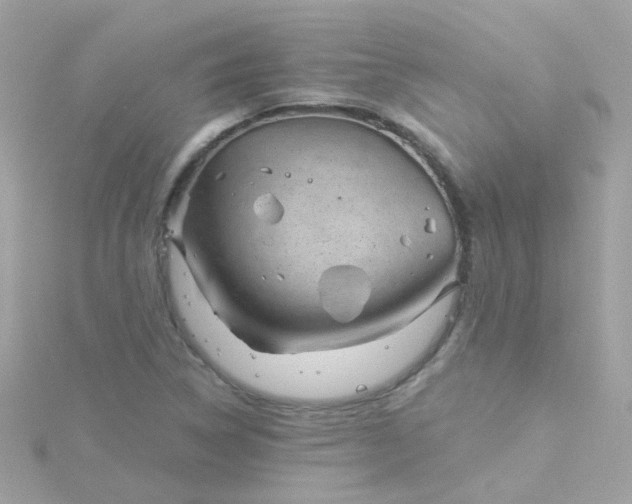 X0000115681314200911251743