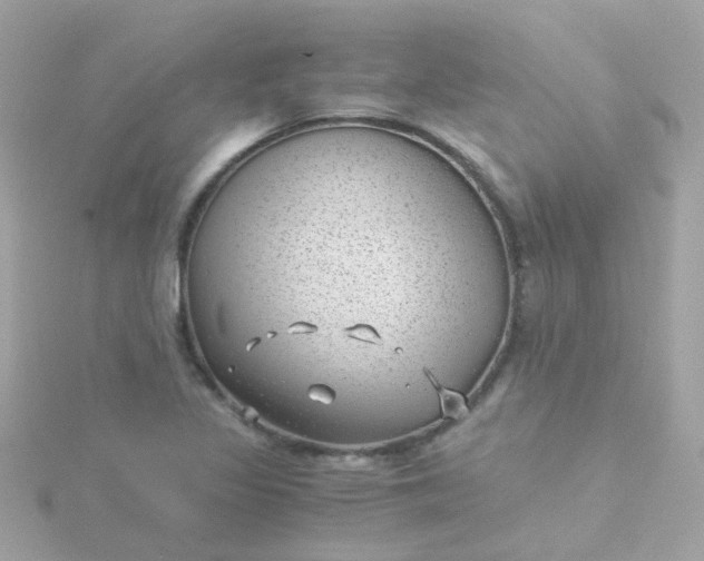 X0000115681317200911251743