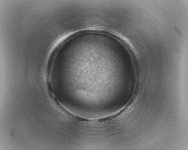 X0000115681319200911251743