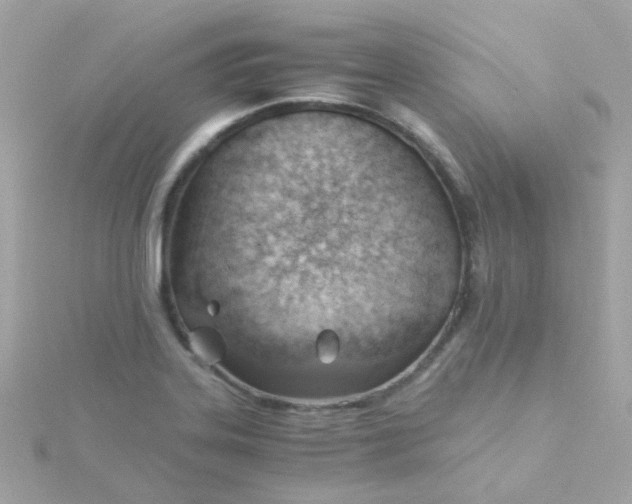 X0000115681323200911251743