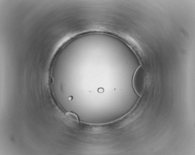 X0000115681326200911251743