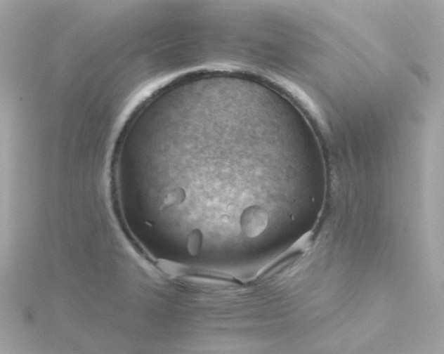 X0000115681327200911251743