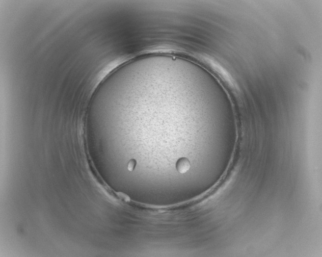 X0000115681329200911251743