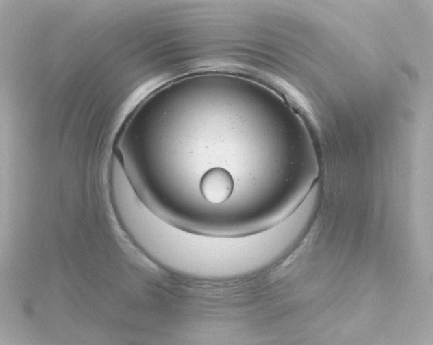 X0000115681330200911251743