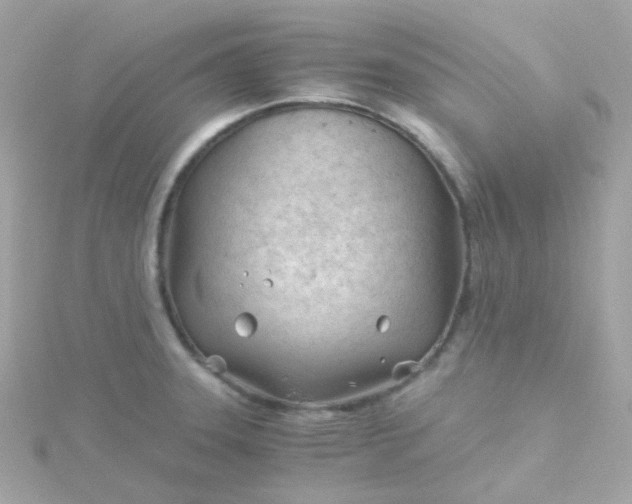 X0000115681331200911251743