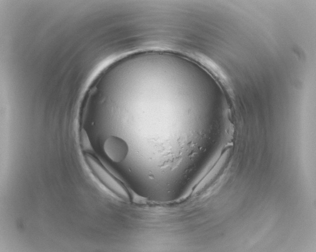 X0000115681334200911251743