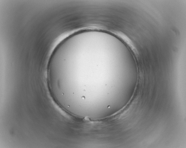 X0000115681335200911251743