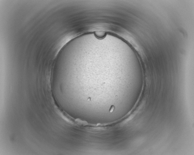 X0000115681337200911251743