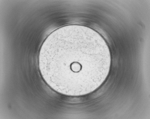 X0000115681338200911251743