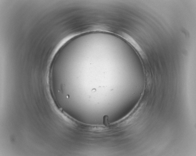 X0000115681339200911251743