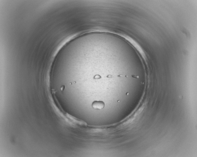 X0000115681341200911251743