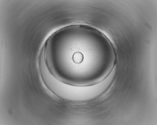 X0000115681342200911251743