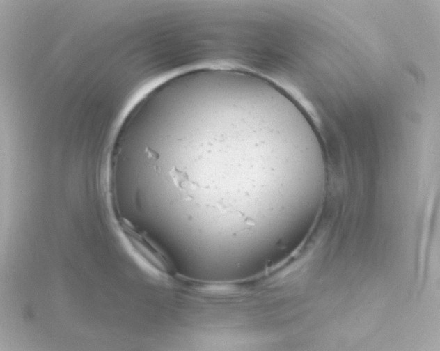 X0000115681343200911251743