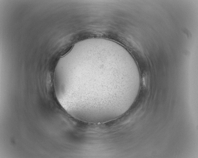 X0000115681347200911251742