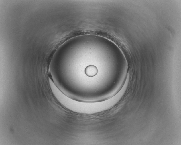 X0000115681348200911251742