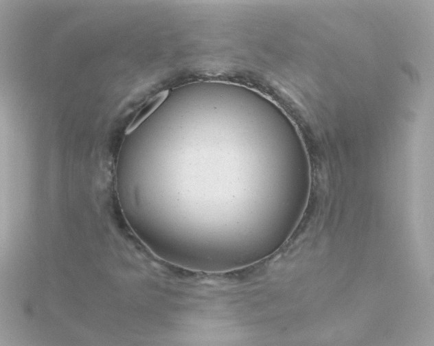 X0000115681349200911251742