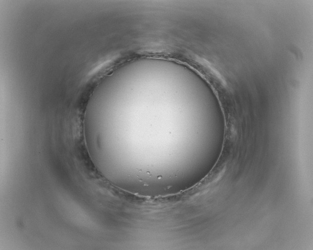 X0000115681350200911251742