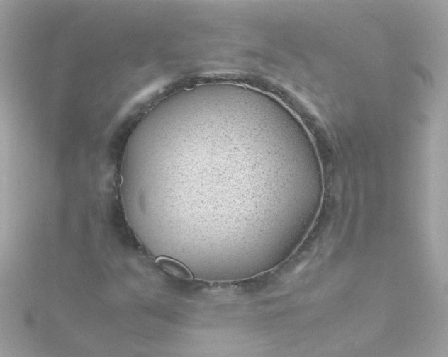 X0000115681351200911251742