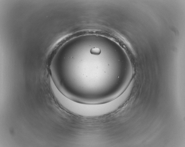 X0000115681352200911251742