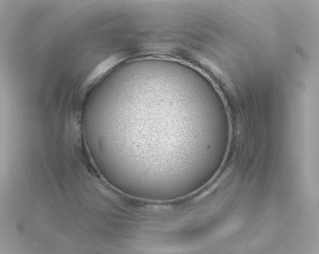 X0000115681354200911251742