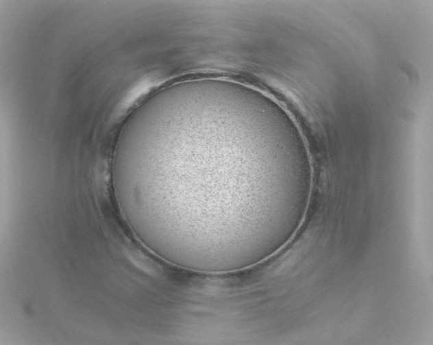 X0000115681355200911251742