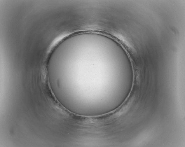 X0000115681358200911251742