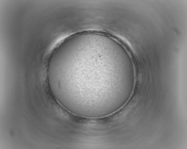 X0000115681359200911251742