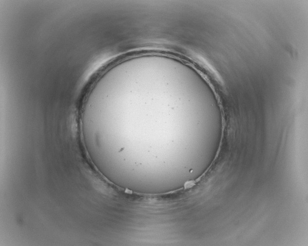 X0000115681360200911251742