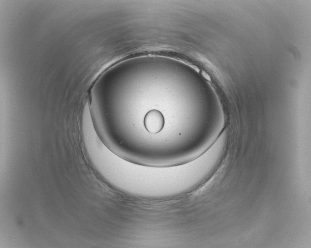 X0000115681361200911251742