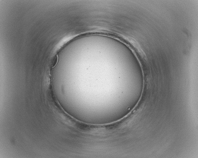 X0000115681363200911251742