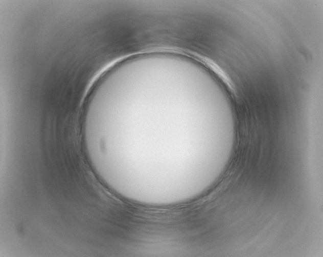 X0000115681364200911251742