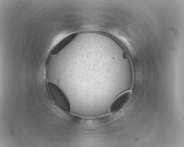 X0000115681365200911251742