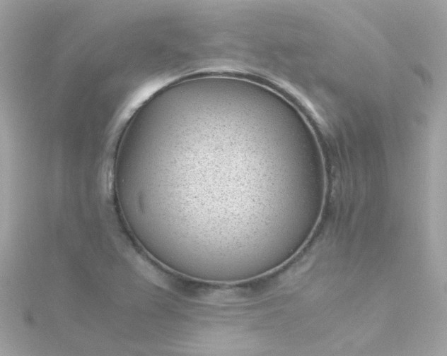 X0000115681367200911251742