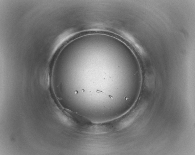 X0000115681368200911251742