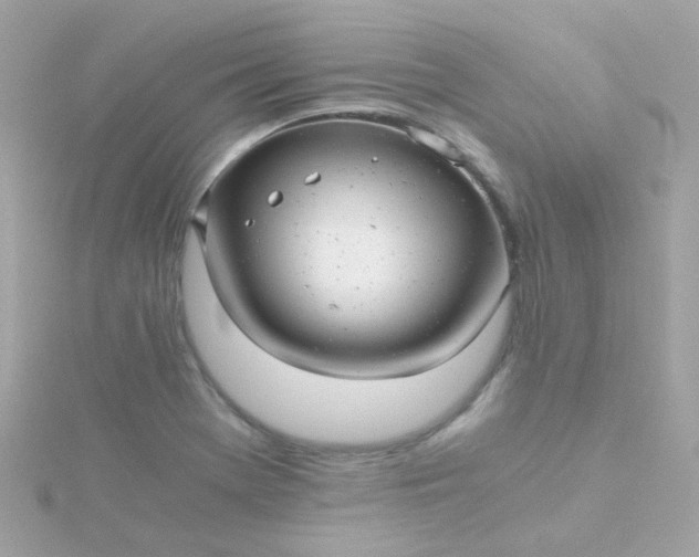 X0000115681369200911251742