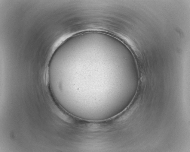 X0000115681371200911251742