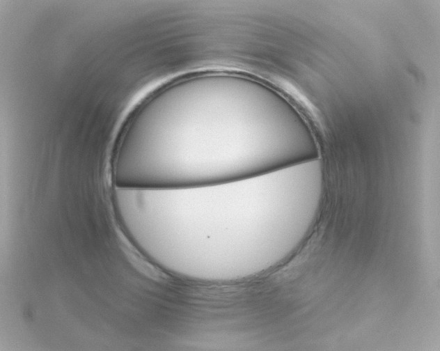 X0000115681372200911251742