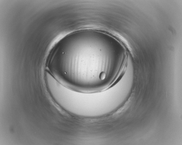 X0000115681373200911251742