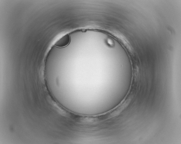 X0000115681374200911251742