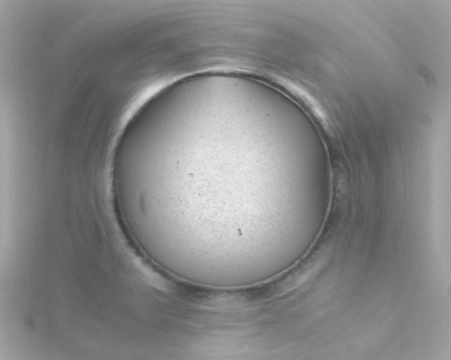 X0000115681375200911251742