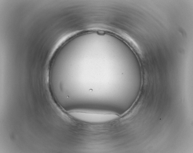 X0000115681376200911251742