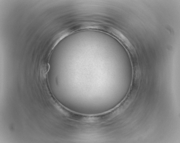 X0000115681377200911251742