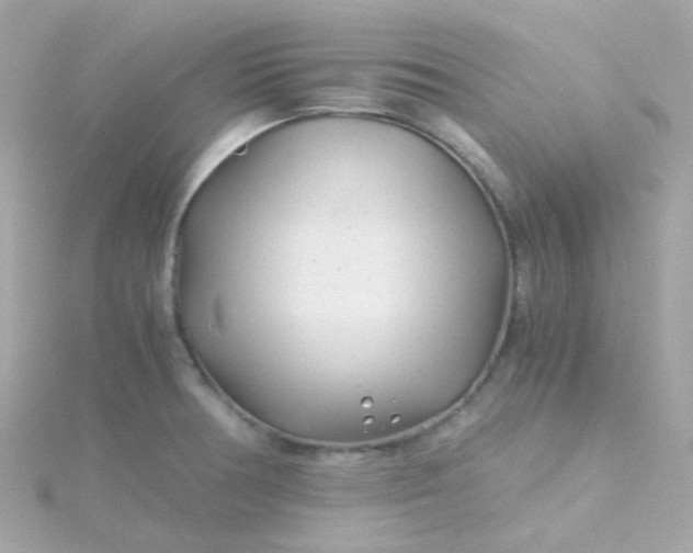 X0000115681378200911251742