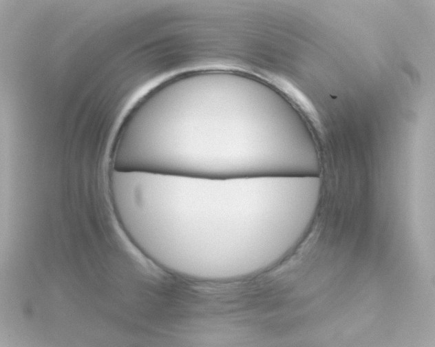 X0000115681380200911251742